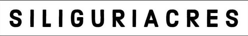 Brand 2